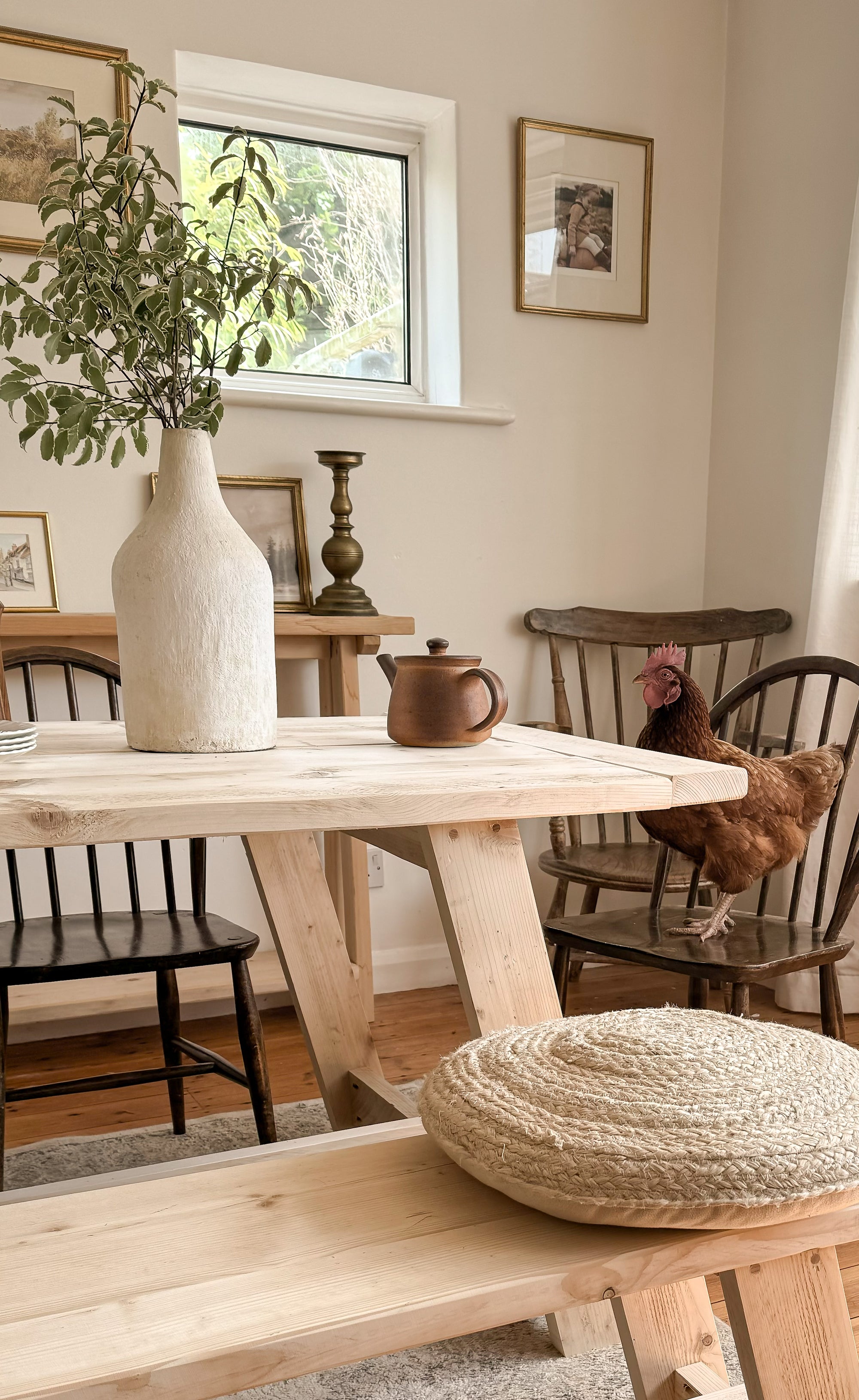 Chicken sitting on a chair next to the rustic wooden dining table.