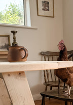 Chicken sitting at the end of the rustic dining table with bench